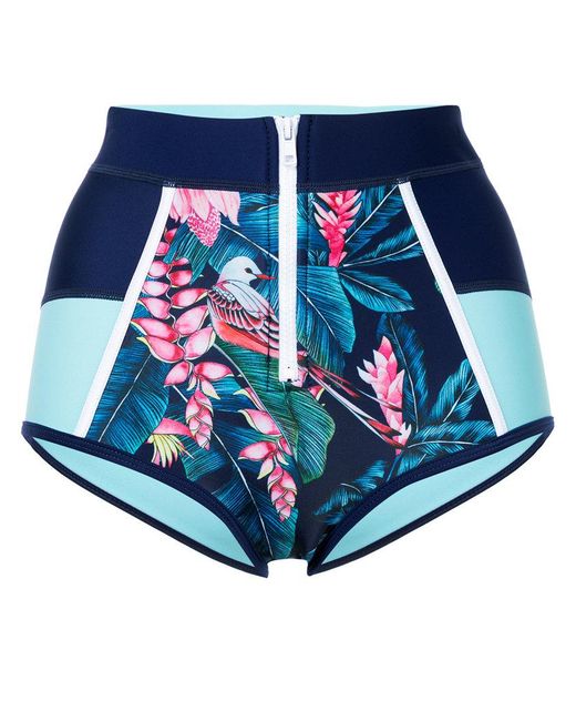 Duskii Tropical Print Bikini Bottoms In Blue Save Lyst