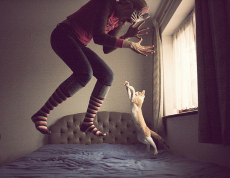 ROAR. Rrah?