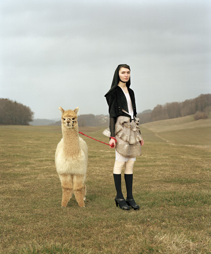 Venus In Furs
