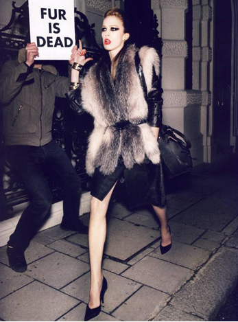 All things 'fur'y