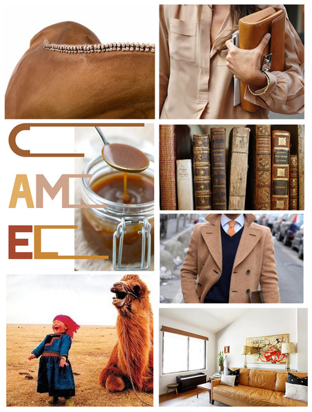 Color Craving... Camel