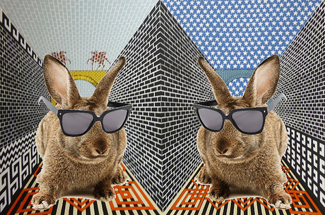 Want It Now: YSL Oversized Square Sunglasses