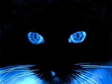 Tentación azul 