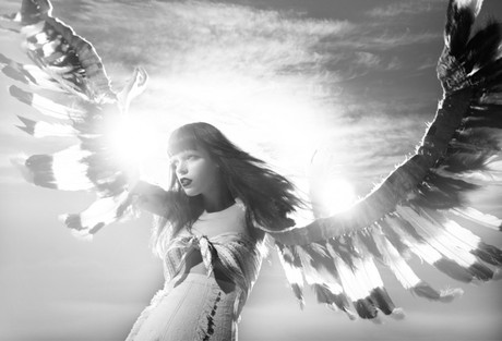 Winged Wonders