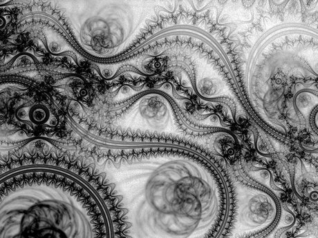Romance & Lace 
