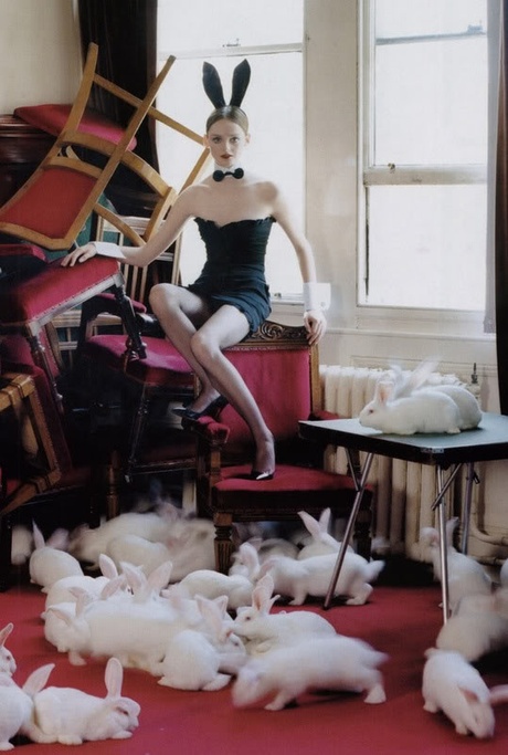 Thru the Rabbit Hole