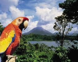 Costa Rica Inspired