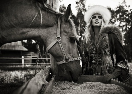 Shopping For: Country Luxe