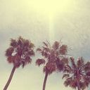 Vacation