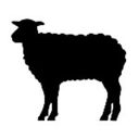 NOTJUSTALABEL's avatar
