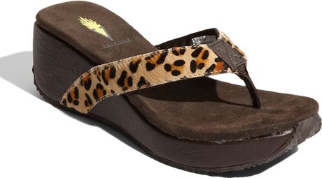 Volatile Jessica Sandal in Animal (leopard) | Lyst