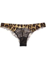 Roberto Cavalli Leopard-print Satin and Lace Thong