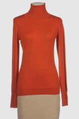 Celine Long Sleeve Sweaters