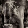 Mcq By Alexander Mcqueen Printed Silk Dress in Black - Lyst