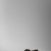 Burberry Nova Check Trainer in Brown (black) - Lyst