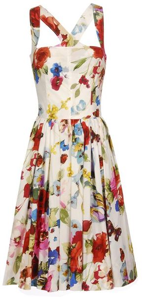Dolce & Gabbana Butterfly-print Cotton Dress - Lyst