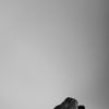 Burberry Zip Top Leather Trainers in Black for Men - Lyst