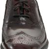 Rockport Mens Dressport Wingtip Oxford in Purple for Men (burgundy brush off) - Lyst