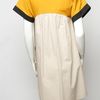 Proenza Schouler Color Block Aline Dress in Yellow (taupe) - Lyst