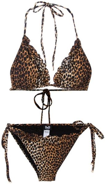 D&g Halterneck Bikini in Animal (brown) - Lyst