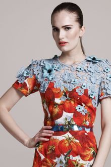 Dolce & Gabbana Tinted Pvc Belt Blue - Lyst