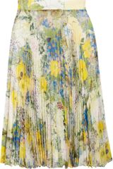 Erdem Ez Plissé Chiffon Skirt