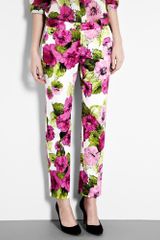 D&G Floral Print Cotton Capri Trousers