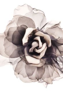 Bundle Maclaren Millinery Laura 2 - Lyst