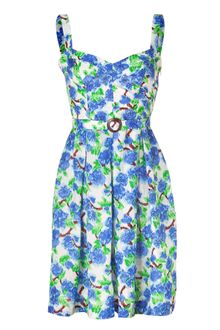 Collette By Collette Dinnigan Cornflower Printed Silk Dress - Lyst