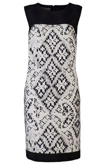 Giambattista Valli Lace Print Dress - Lyst