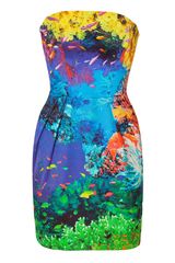 Mary Katrantzou Coral Reef Strapless Puff Dress