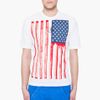 Dsquared2 Hetero Stars Stripes Tshirt in White for Men - Lyst