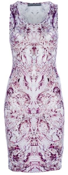 Alexander McQueen Print Dress - Lyst