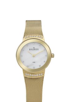 Skagen Steel Mesh - Lyst