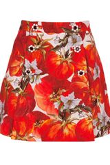 Dolce & Gabbana Printed Skirt