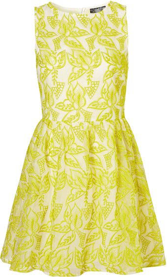 Topshop Embroidered Organza Dress - Lyst