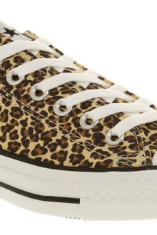 converse leopard ox
