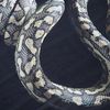 Lanvin Snake Scarf in Green (snake) - Lyst