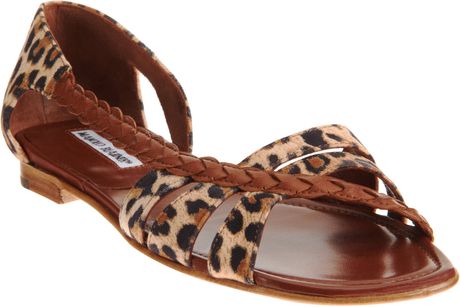 Manolo Blahnik Treccista Sandal in Animal (leopard) - Lyst