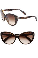 Prada Catseye Sunglasses