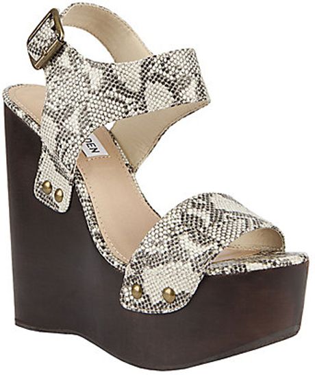 Steve Madden Ontime in Beige (natural snake) - Lyst