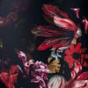 Alexander Mcqueen Floral Print Leggings in Black (floral) - Lyst