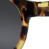 Illesteva Leonard Roundframe Acetate Sunglasses in Brown (black) - Lyst