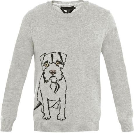 burberry print dog sweater