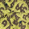 Erdem Drew Lace Dress in Yellow (chartreuse) - Lyst