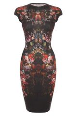 Alexander McQueen Painted Flowers Cap Sleeve Pencil Dress
