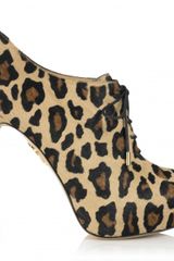 Charlotte Olympia Alice