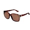 House Of Harlow Julie in Brown (tortoise/gold) - Lyst