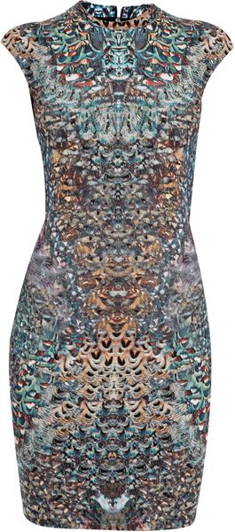 McQ by Alexander McQueen Feather Print Dress - Lyst