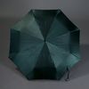 Alexander Mcqueen Skull Umbrella in Green - Lyst